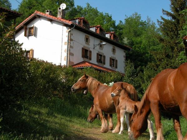Agroturismo Mari Cruz Villanueva de Arce Exterior photo